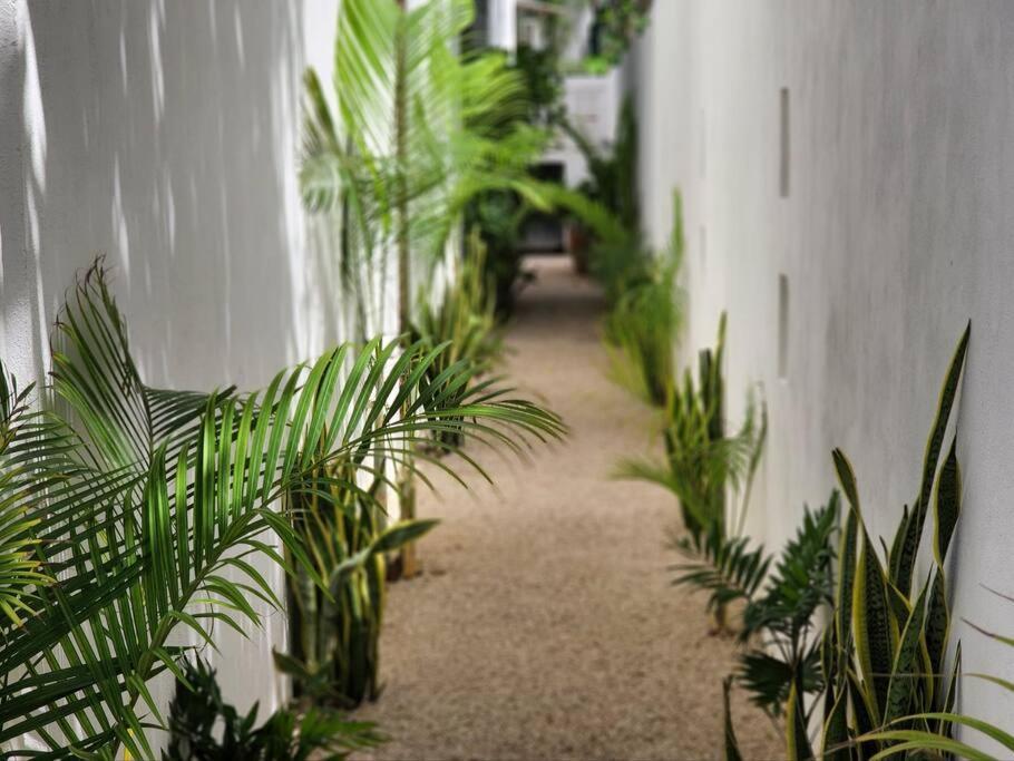 Amazing Jungle Retreat Lahkah Tulum Exterior photo