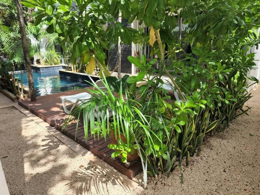 Amazing Jungle Retreat Lahkah Tulum Exterior photo